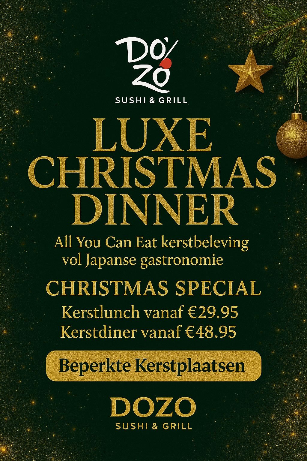 Dozo kerst actie 2025